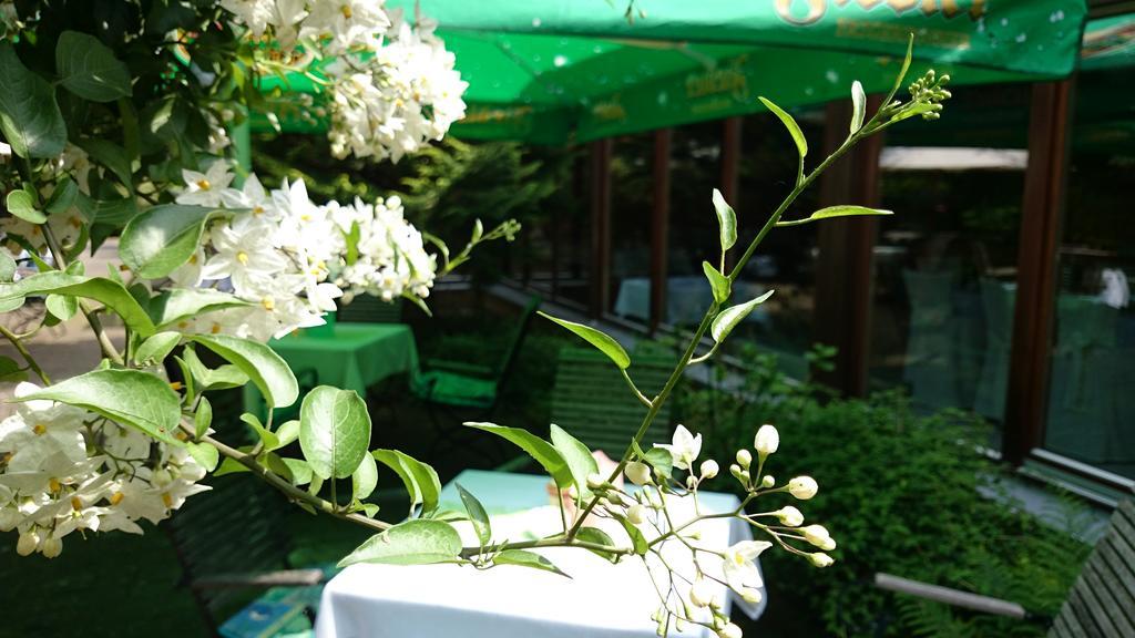 Schneiderlein Hotel Limbach-Oberfrohna Ngoại thất bức ảnh